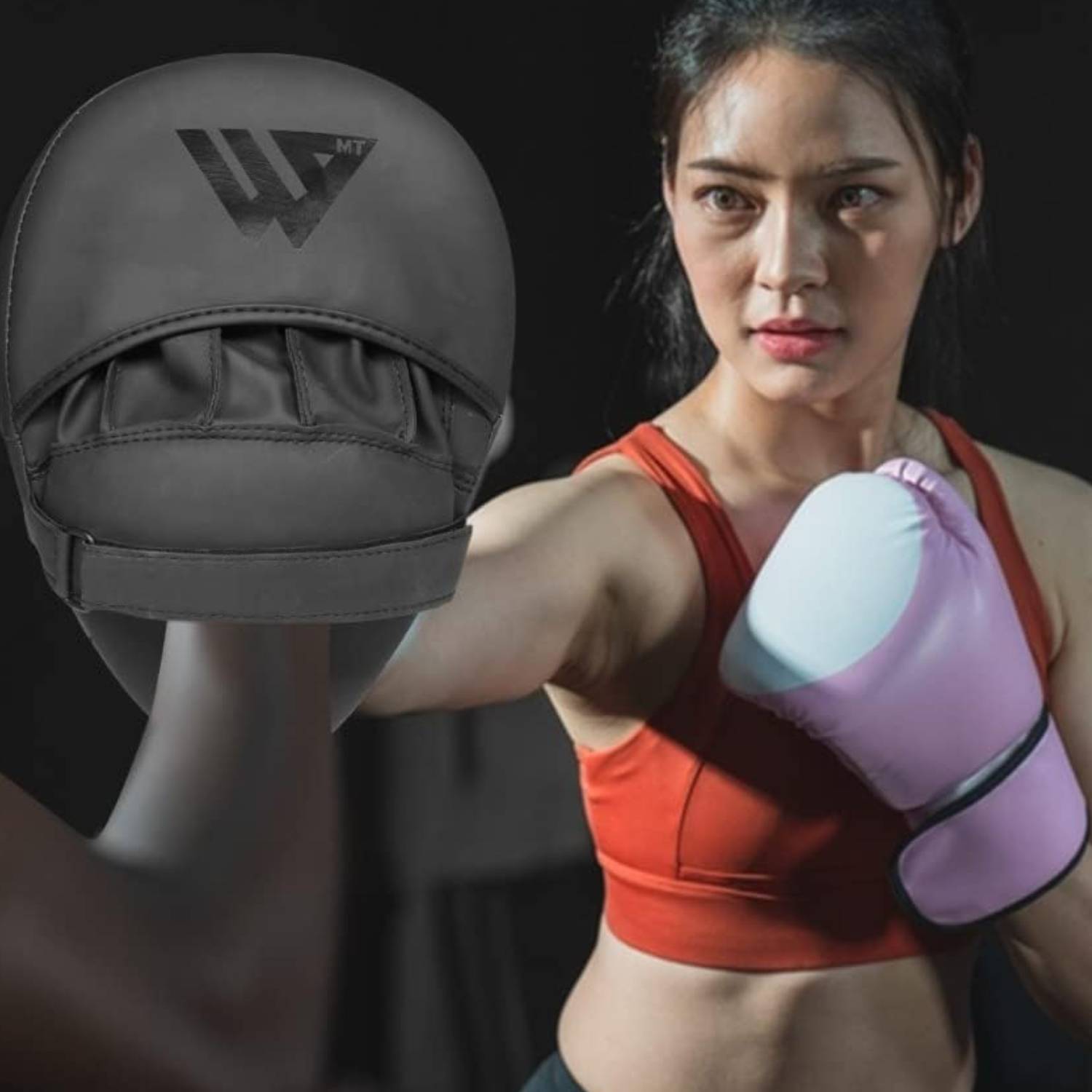 Boxing Pads