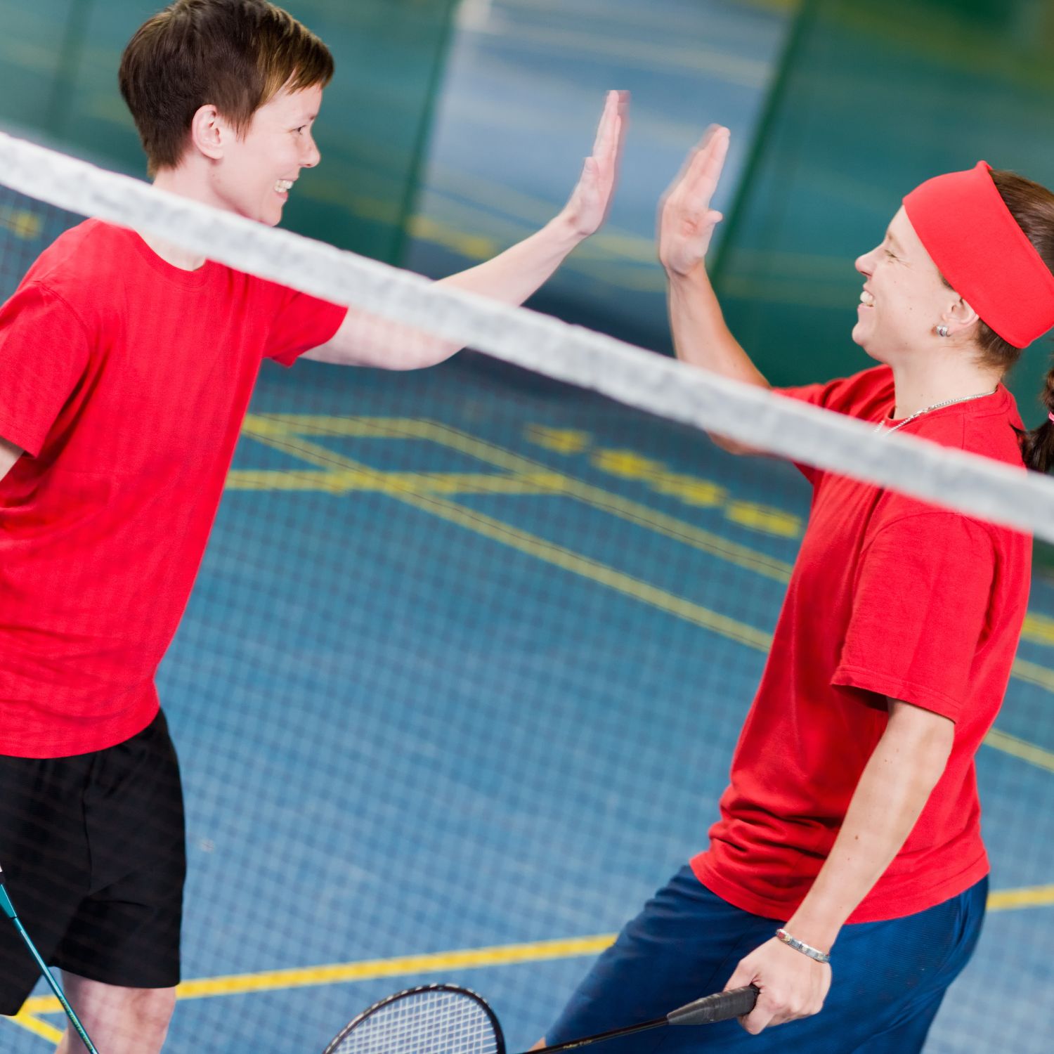 Badminton Net